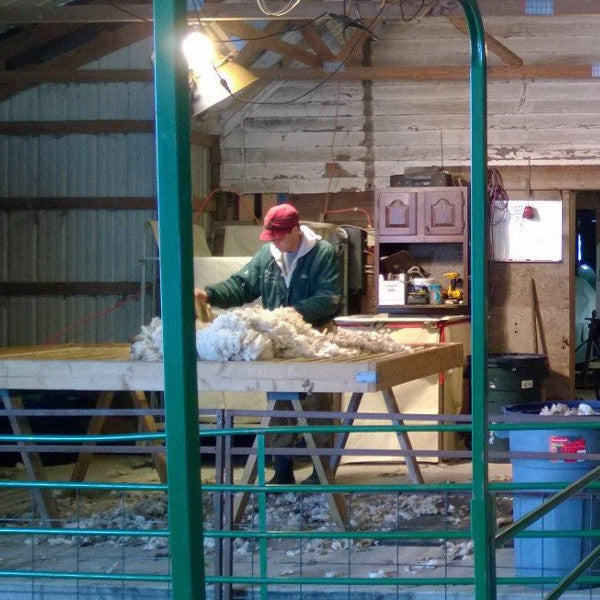 WeatherWool Advisor Bob Padula is a lifelong sheep man. He knows wool, he knows WeatherWool and he can answer your questions.