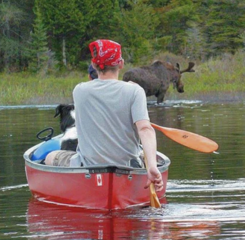 Steven Clarke, Backcountry King