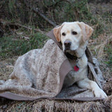 WeatherWool Advisor Dale Rodefer from Maryland, a professional rigger, also breeds Labradors