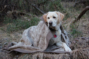 WeatherWool Advisor Dale Rodefer from Maryland, a professional rigger, also breeds Labradors