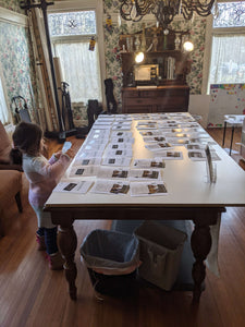 WeatherWool is very much a family business!!  Belle, age 4, the youngest member of the family, does a wonderful and very enthusiastic job preparing Fabric Samples Booklets and applying shipping labels to the WeatherWool Fabric Sample Packs! 